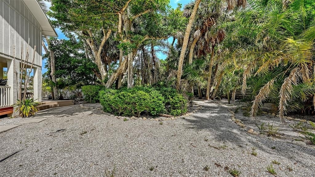 3708 Sandspur Lane - Photo 66