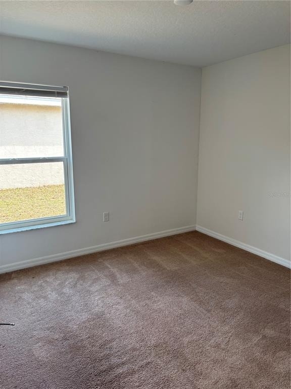6 Wood Amber Lane - Photo 23
