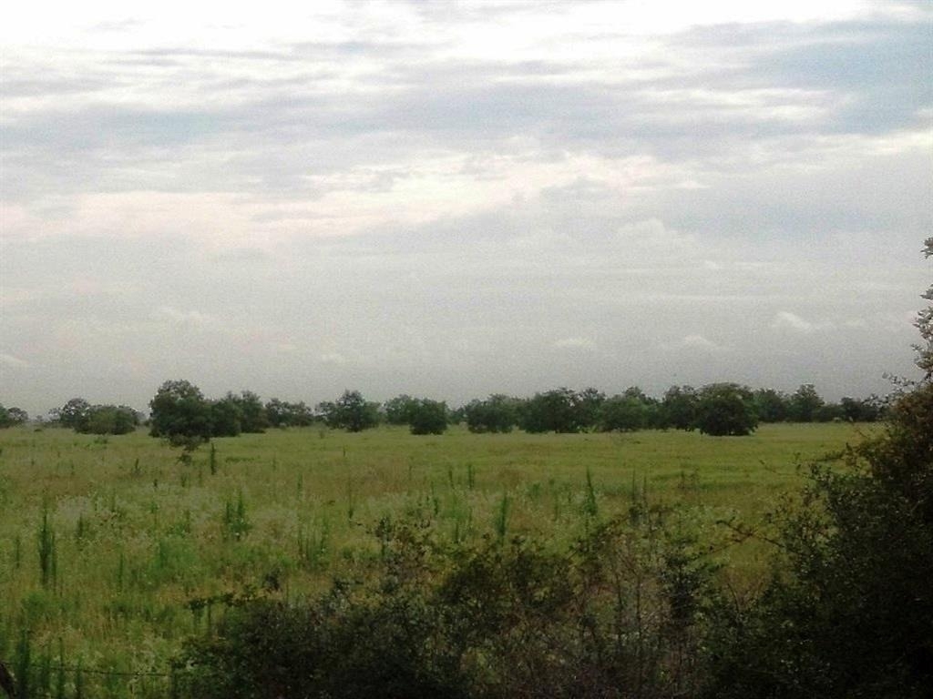3466 Fm 362 Road - Photo 4