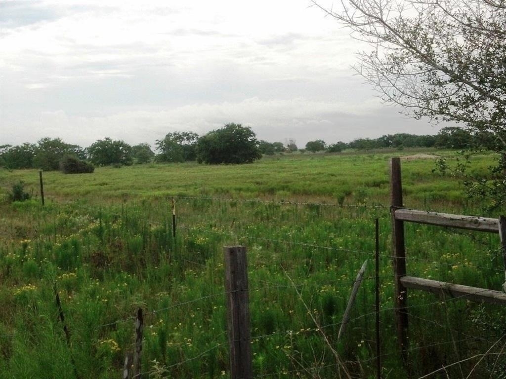 3466 Fm 362 Road - Photo 5