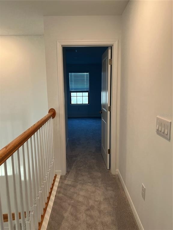 19524 Fishhawk Trail - Photo 22