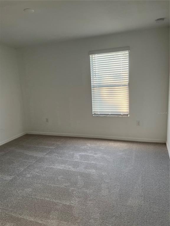 19524 Fishhawk Trail - Photo 25