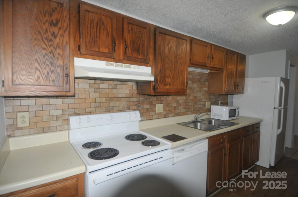 9500 L Shannon Green Drive - Photo 3
