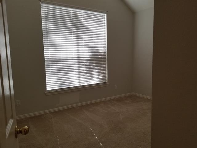 3620 Field Stone Drive - Photo 22
