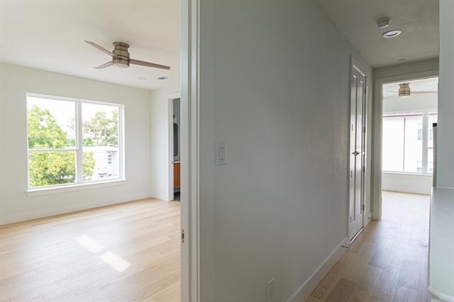 4210 Roseland Avenue - Photo 16