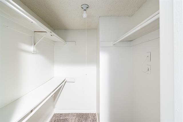 8383 La Prada Drive - Photo 12
