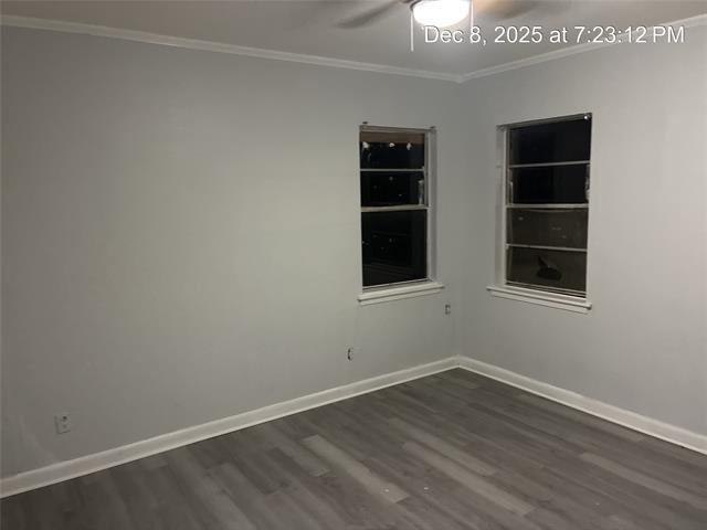 702 Bringhurst Drive - Photo 3