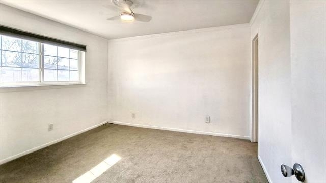 5818 E University Boulevard - Photo 18