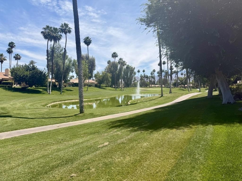 134 Las Lomas - Photo 10