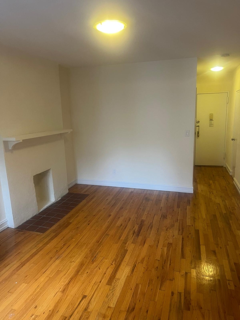 East 81st Street - Photo 4