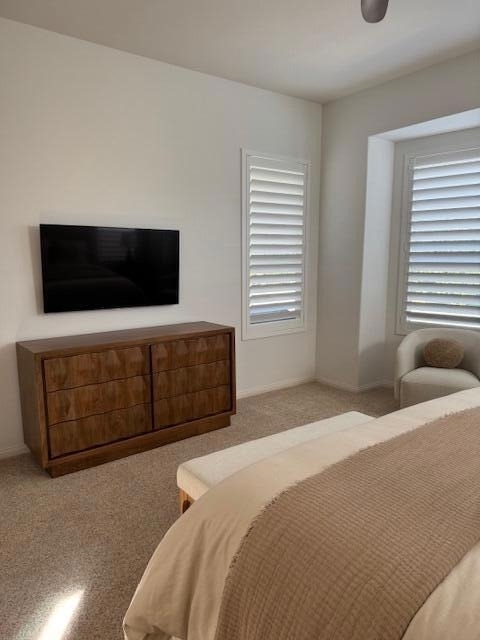 81874 Sun Cactus Lane - Photo 16