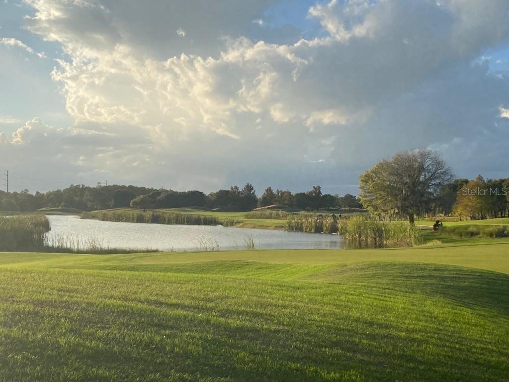 6941 Beargrass Road - Photo 36