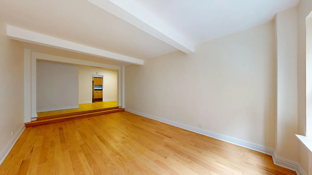 East 56th Street - Photo 4