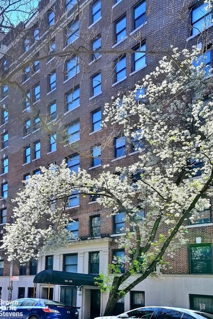 226 E 12th Street - Photo 6