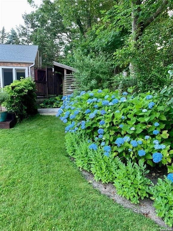 6 Lynn Court - Photo 14