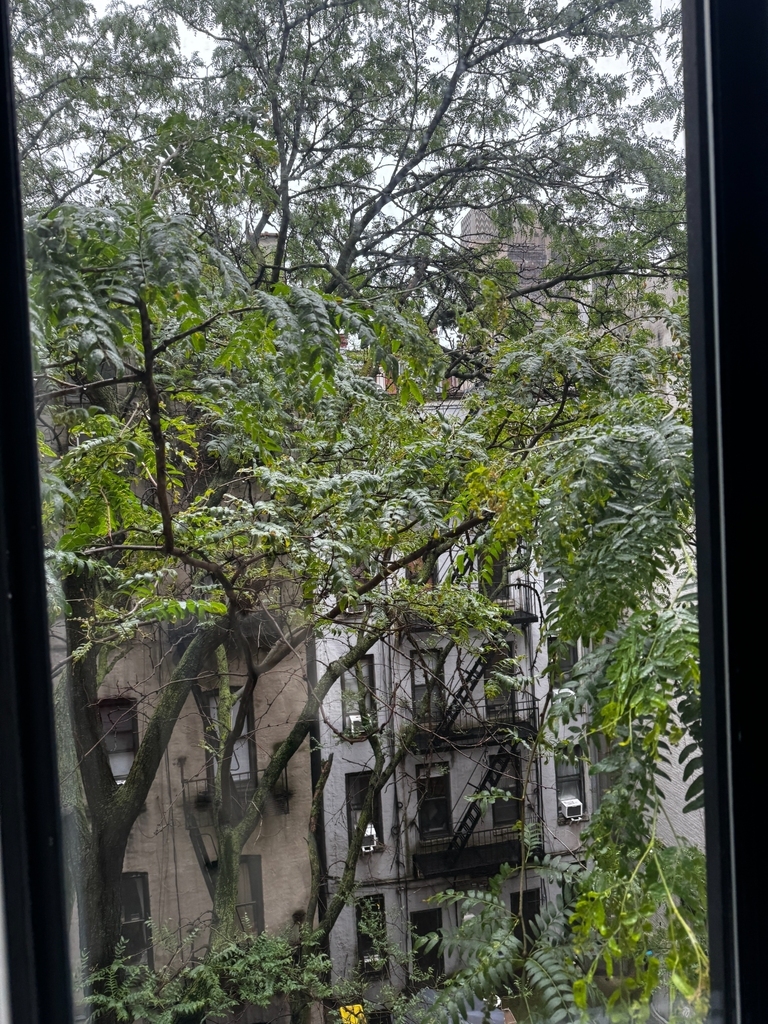 410 West 53rd Street - Photo 5