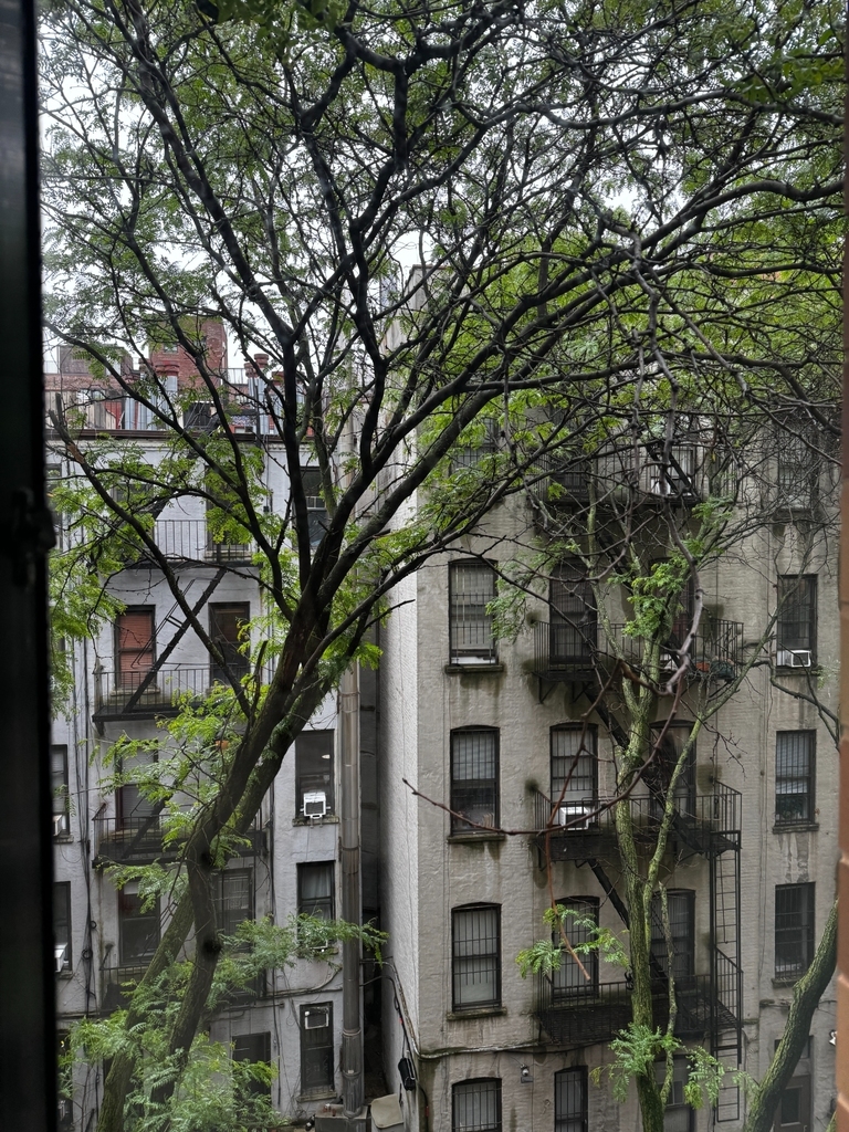 410 West 53rd Street - Photo 10