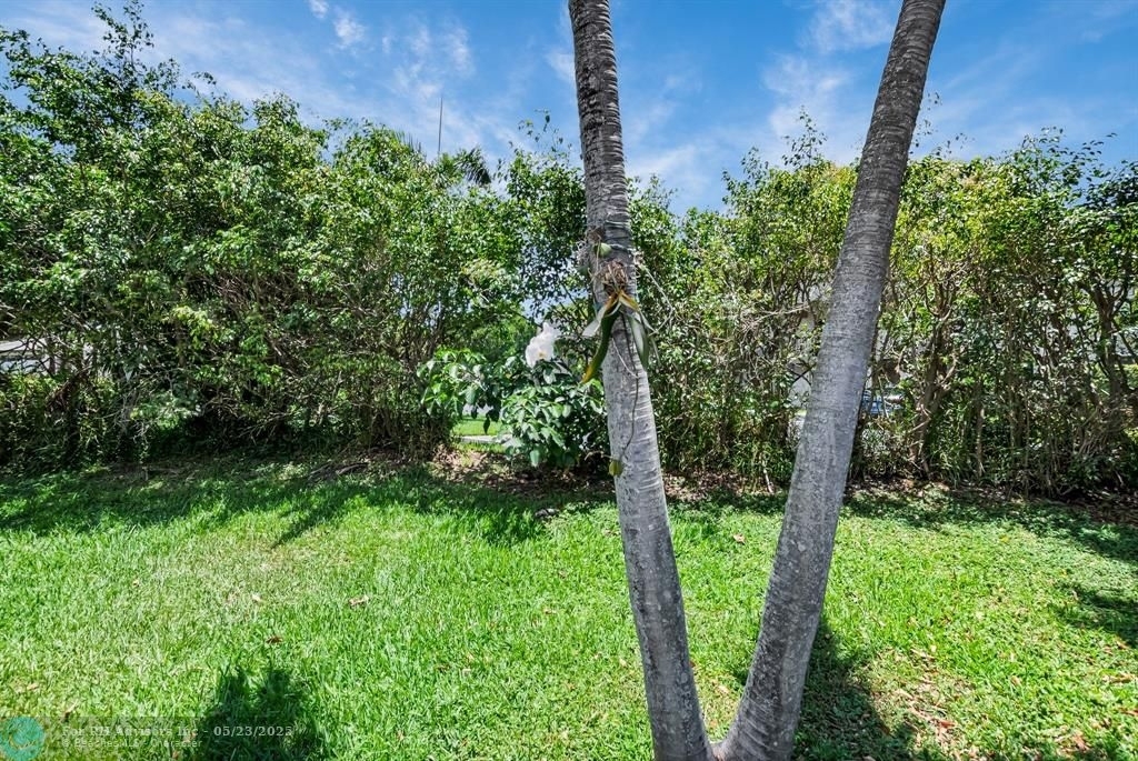 6850 Nw 2nd Ave - Photo 41