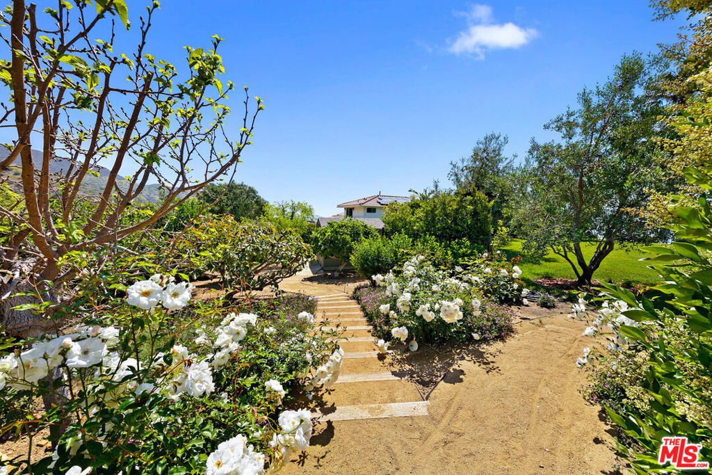 27450 Calicut Road - Photo 52