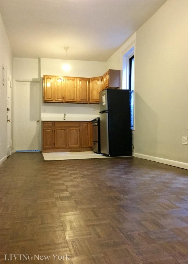 248 E 90th Street - Photo 2