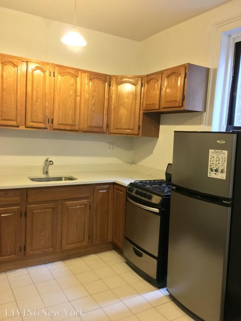 248 E 90th Street - Photo 0