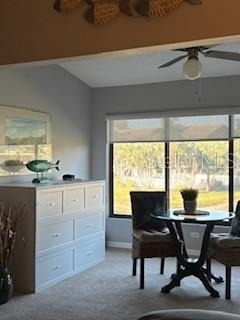 5652 Ashton Lake Drive - Photo 24