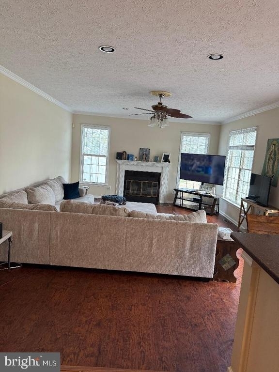 101 Tarks Lane - Photo 3
