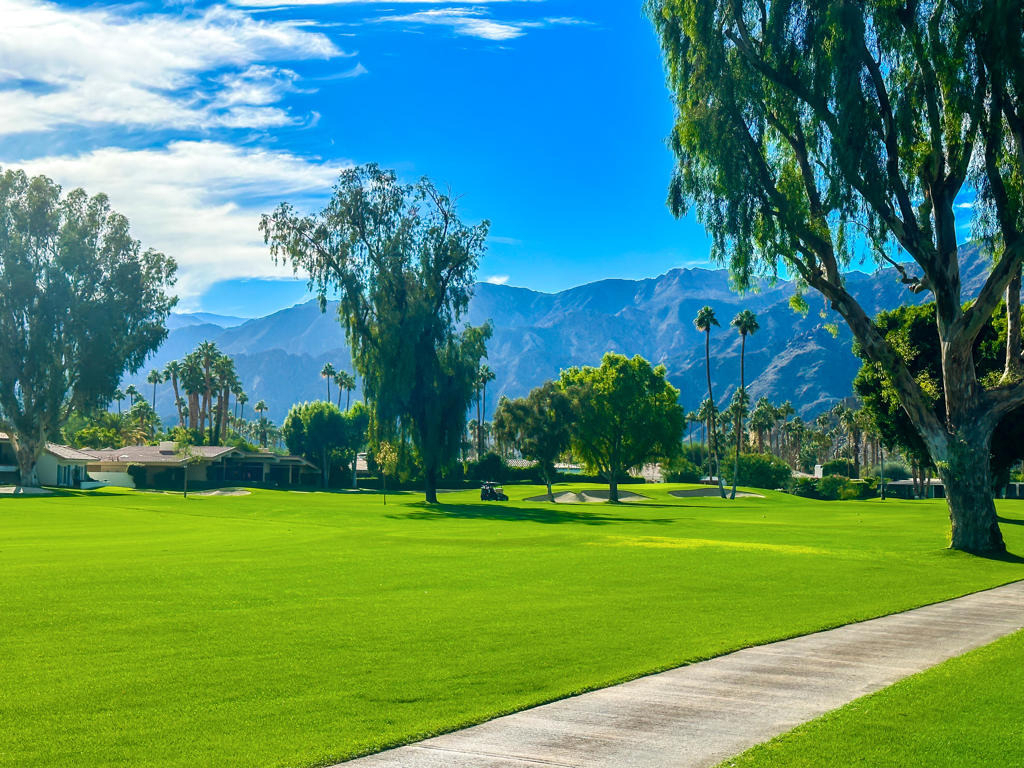 48721 Santa Ursula Street - Photo 40
