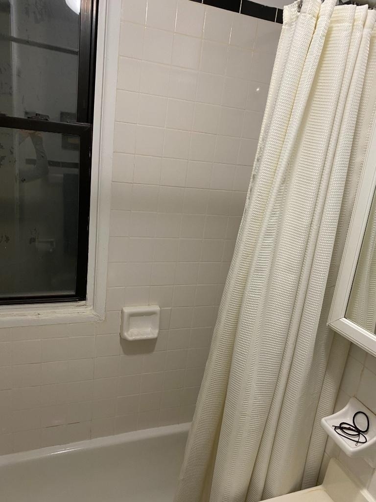 248 E 90th Street - Photo 6