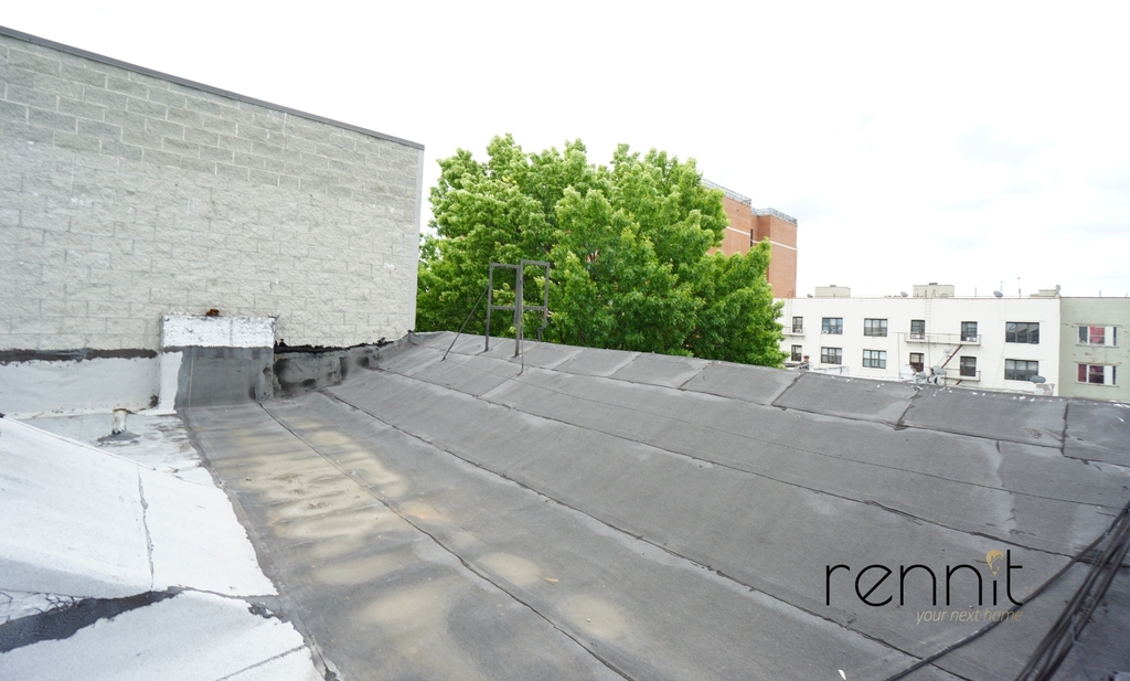 1257 Lincoln Place - Photo 12