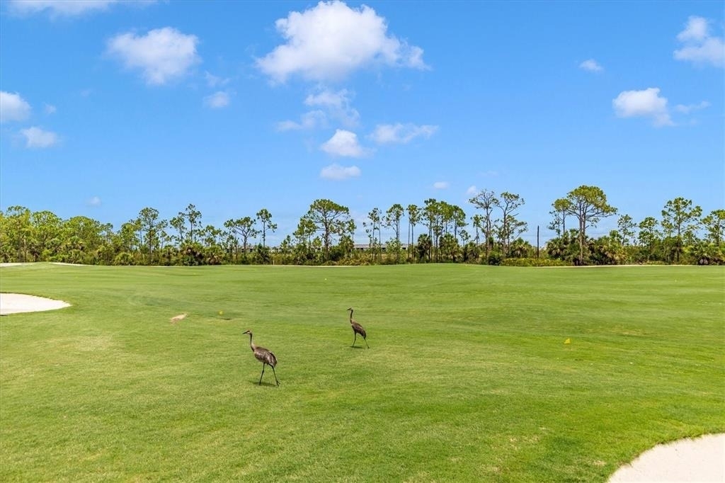 12280 Wellen Golf Street - Photo 35
