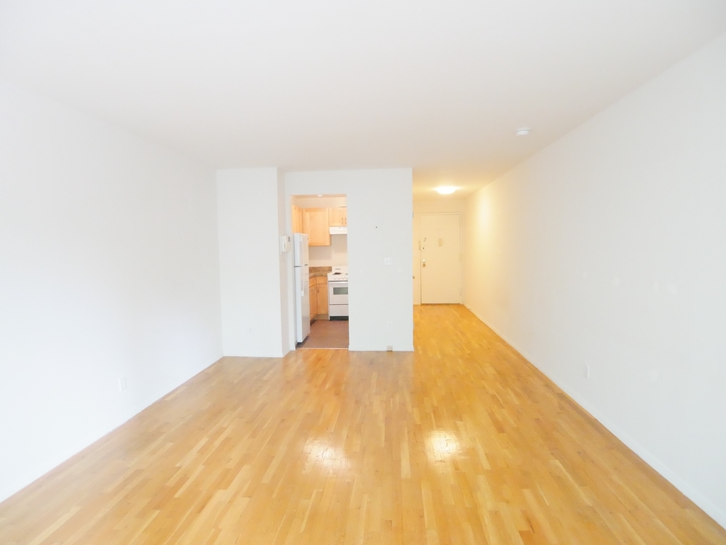 423 East 90th Street - Photo 1