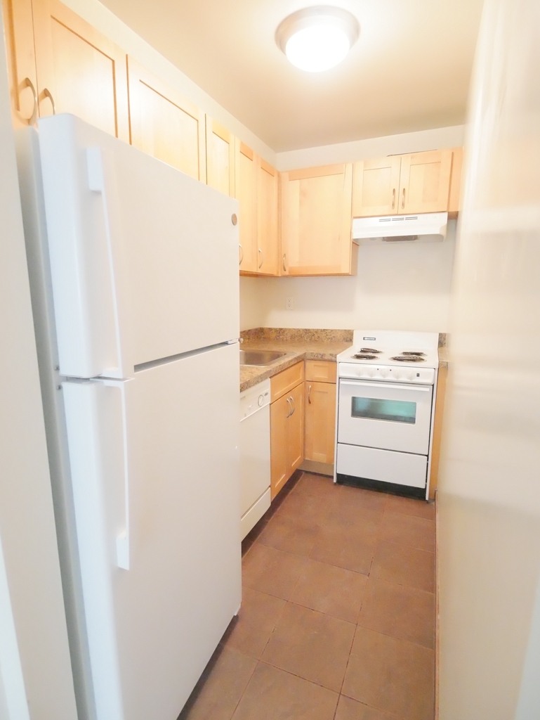 423 East 90th Street - Photo 2