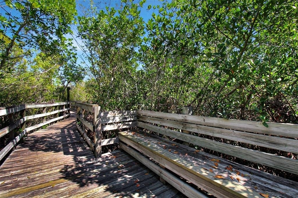 535 Forest Way - Photo 47