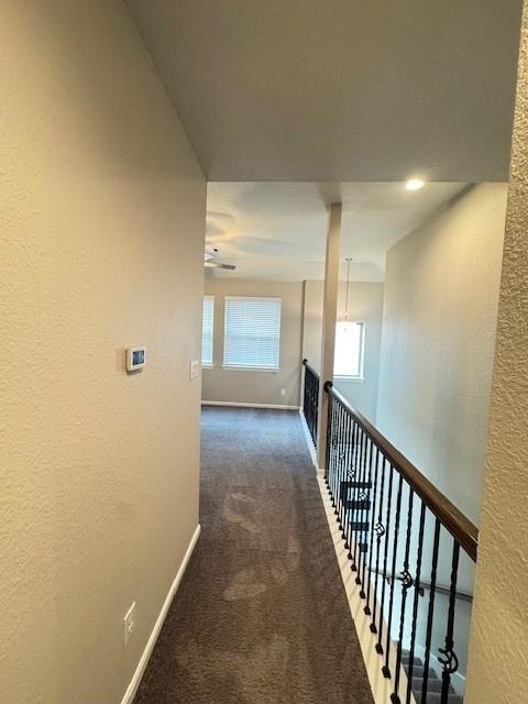 5218 Prairie Terrace Lane - Photo 7
