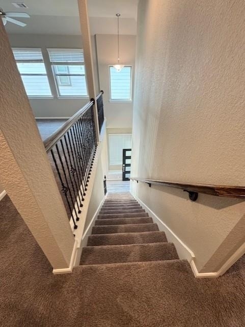 5218 Prairie Terrace Lane - Photo 5