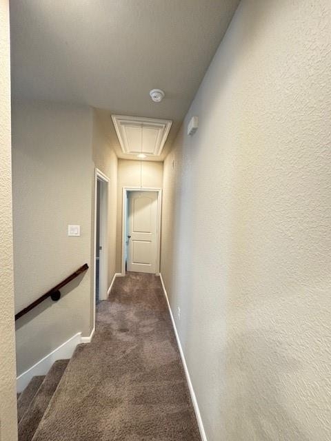 5218 Prairie Terrace Lane - Photo 6
