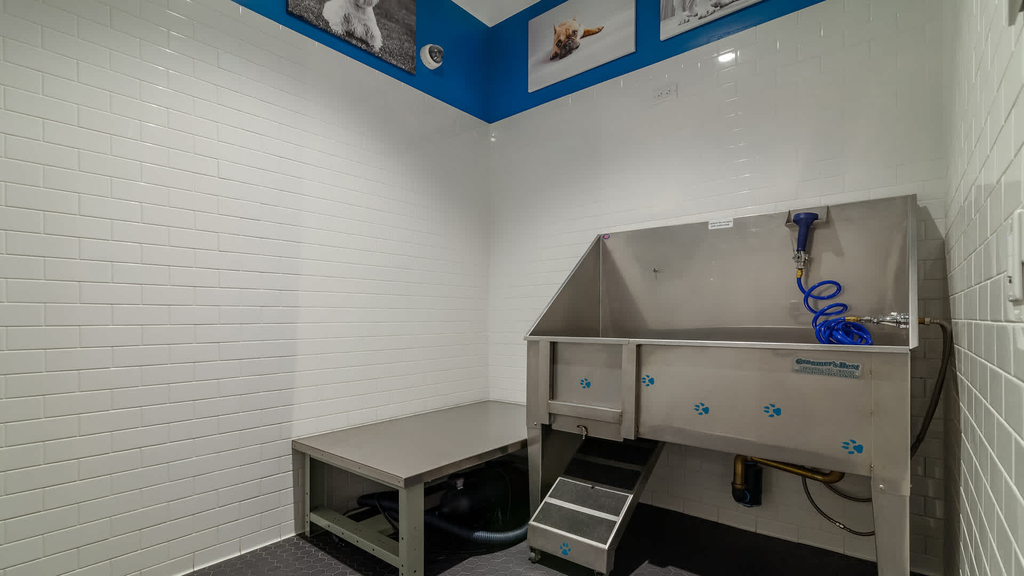 170 Amsterdam Avenue - Photo 43