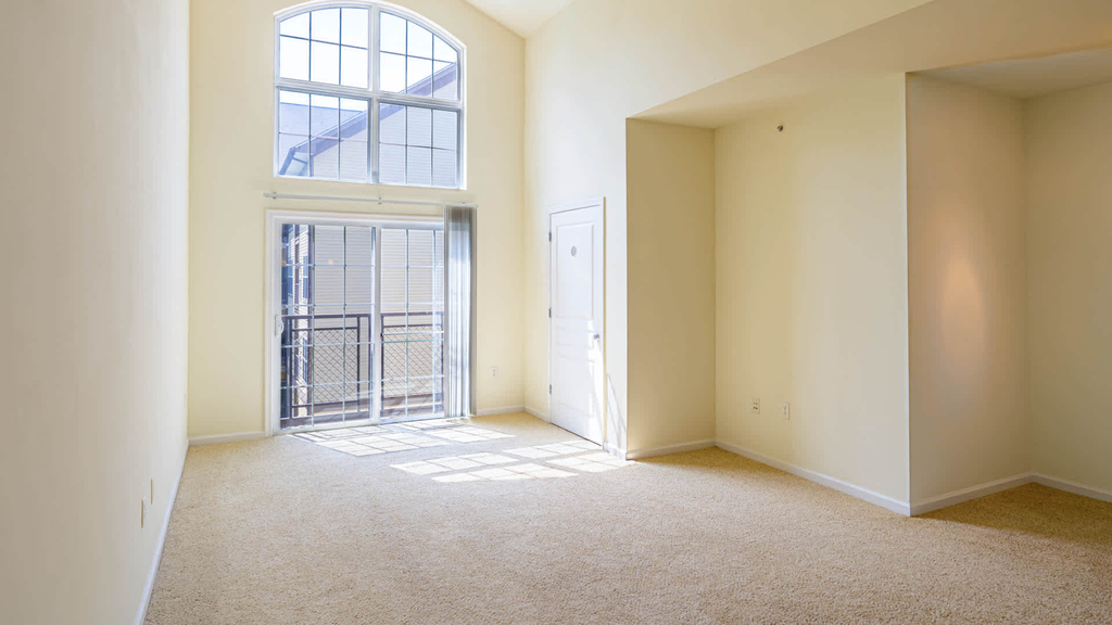 6210 Belcrest Road - Photo 47