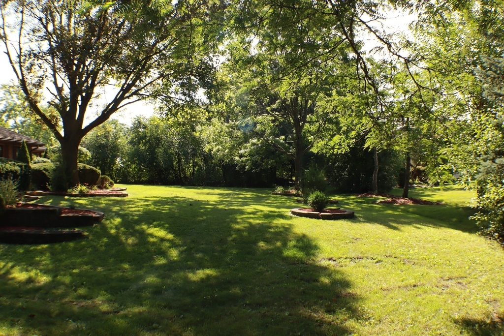 44 Kingston Drive - Photo 14