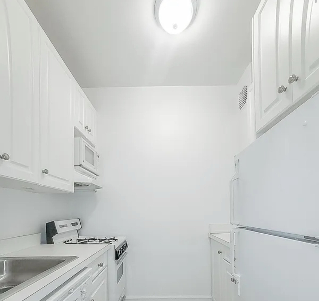 338 East 83rd Street - Photo 3