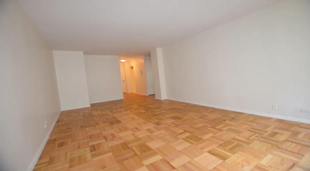 East 49th Street - Photo 2