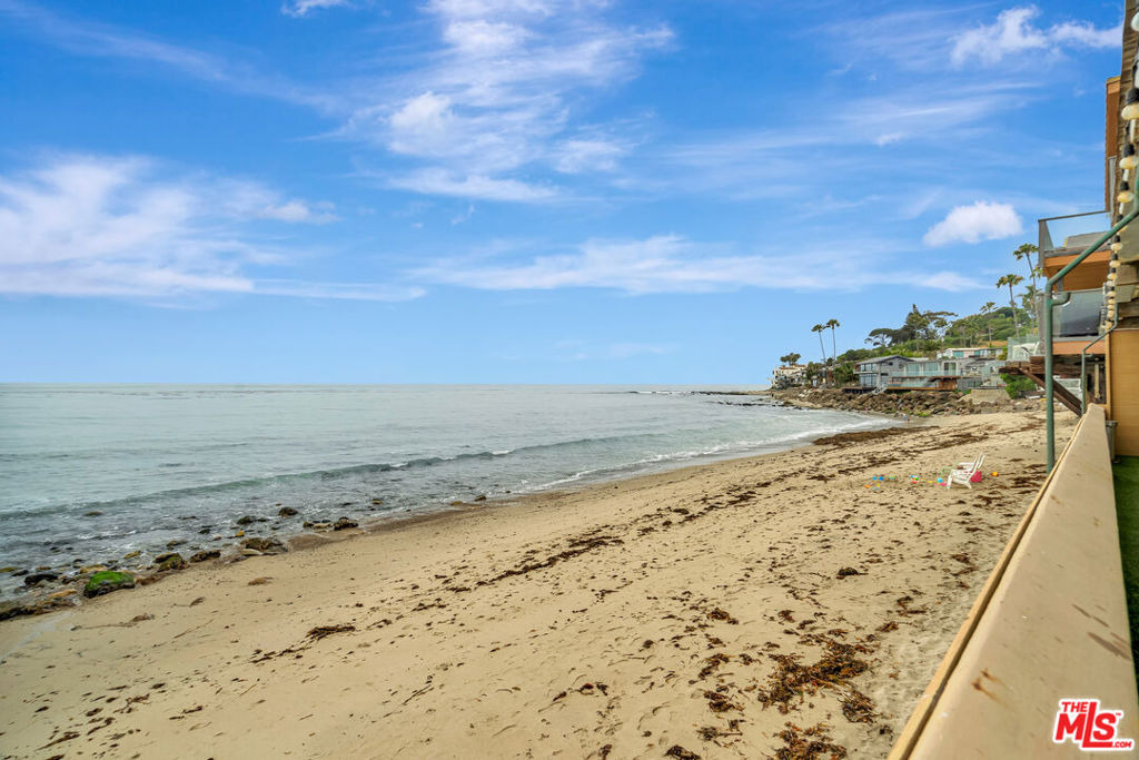 26636 Latigo Shore Drive - Photo 50