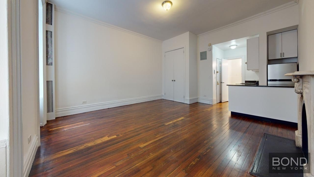 East 65th Street - Photo 3