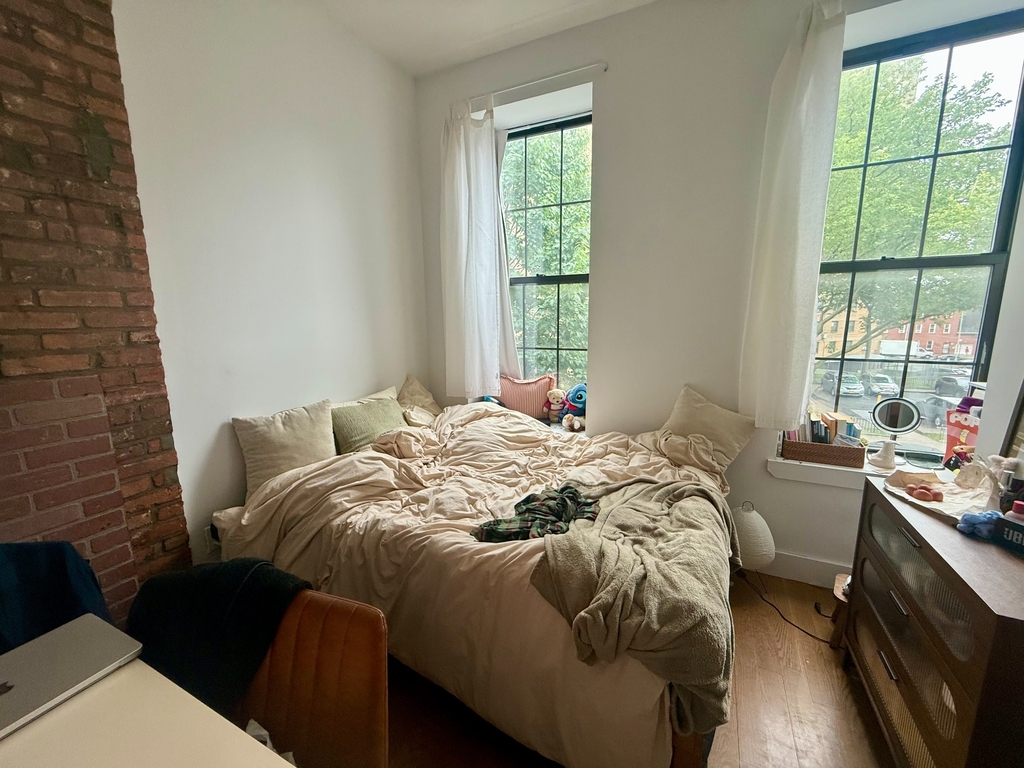 317 Pulaski Street - Photo 8