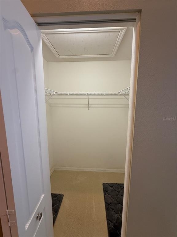 5320 Hyland Hills Avenue - Photo 13