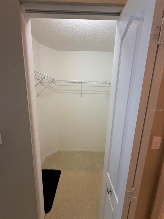 5320 Hyland Hills Avenue - Photo 14