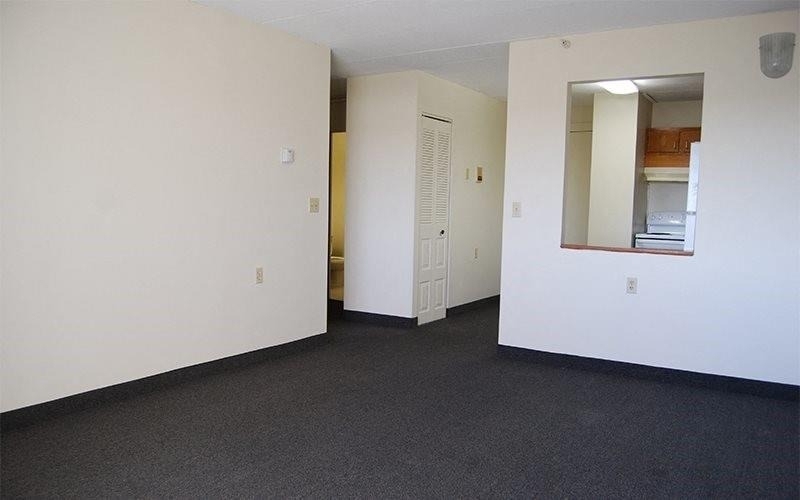 20 Kelly St - Photo 7