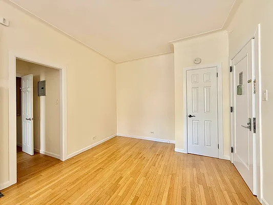 117 East 13th Street - Photo 6