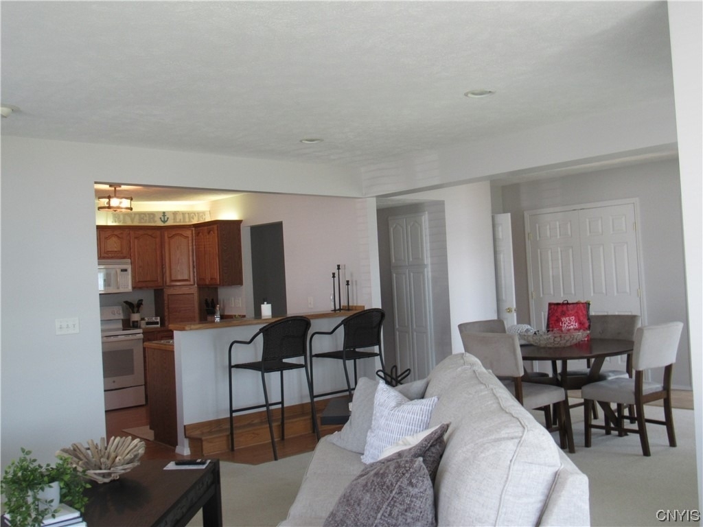 28 E. River Rd. Road - Photo 11